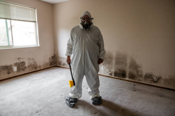 Best Asbestos and Lead Testing During Mold Inspection  in Greenland, AR